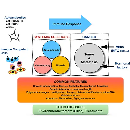 scleroderma panel test